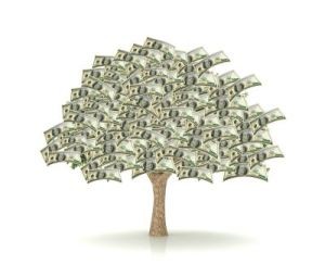 money-tree