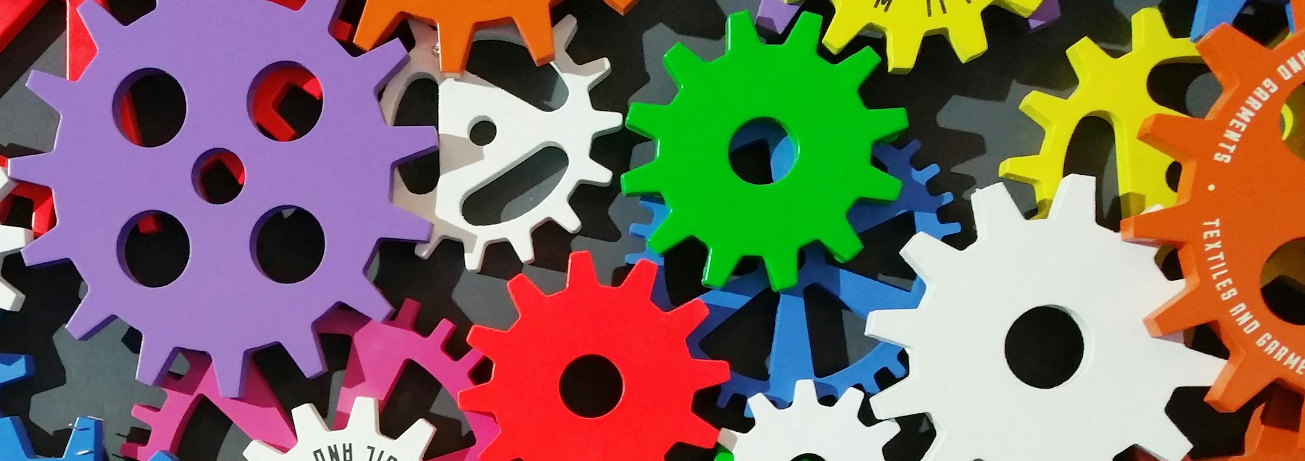 Mentors, Mindset, and Decision-making